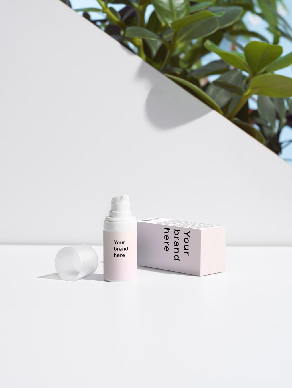 Anti-Age Day Cream